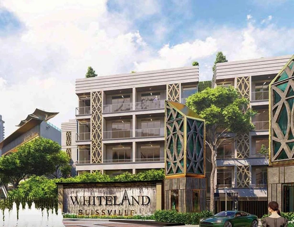 Whiteland Blissville